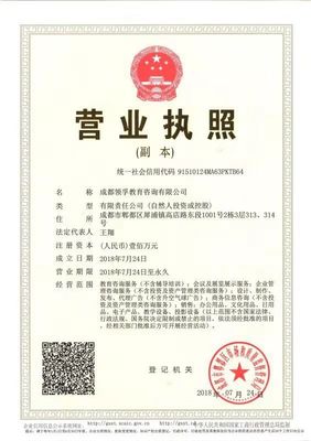 成都领孚教育咨询 深耕教育规划的专业力量，助你找到人生最优解